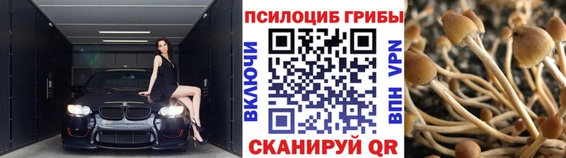Галлюциногенные грибы прущие грибы  наркотики  Невинномысск 