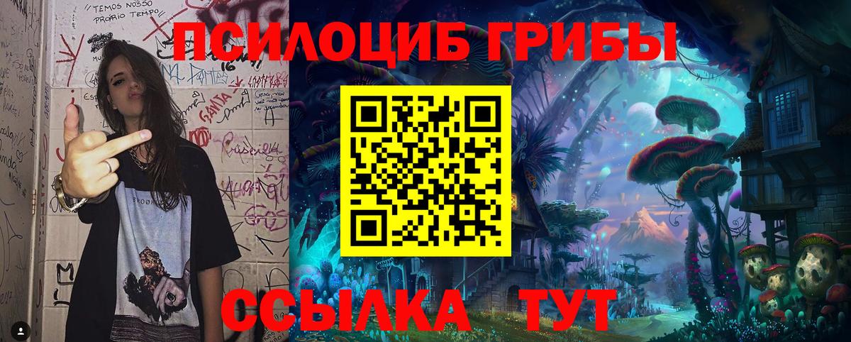 Псилоцибиновые грибы GOLDEN TEACHER Невинномысск